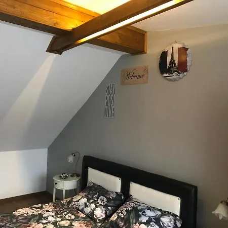 Appartement Garsoniera Delia Braşov Extérieur photo