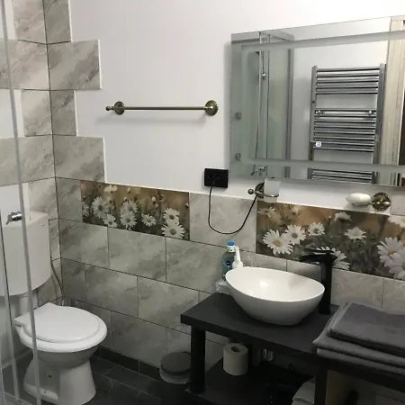 Appartement Garsoniera Delia Braşov Extérieur photo