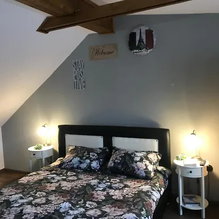 Appartement Garsoniera Delia Braşov Extérieur photo
